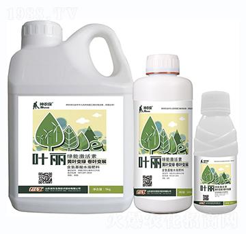 �~�����G�ܼ�����-��(zh��n)܇(ch��)