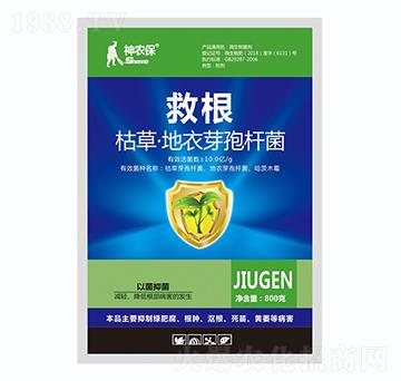 �ݲ�ѿ�ߗU��-�ȸ�-��(zh��n)܇(ch��)