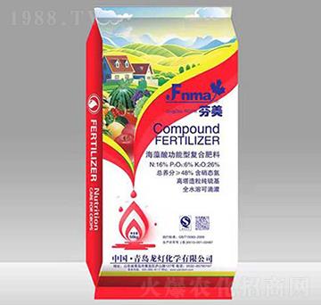 �����Ṧ���͏ͺϷ���-����-����