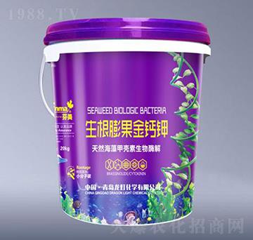 ����������}�-����-����