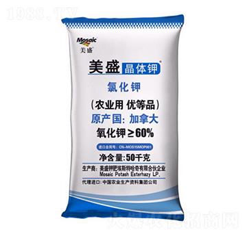 ���w�-��ʢ-����R��