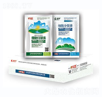 ��(x��)�������أ��У�-��(zh��n)܇