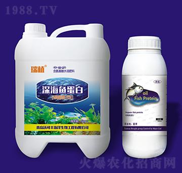 ��~����-�ֿ��S