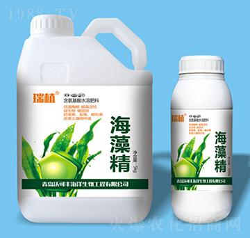 ���徫-�ֿ��S