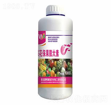 �������������-�ֿ��S