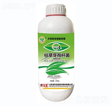 水稻秧苗健康套餐-枯草芽孢桿菌-戰(zhàn)車(chē)