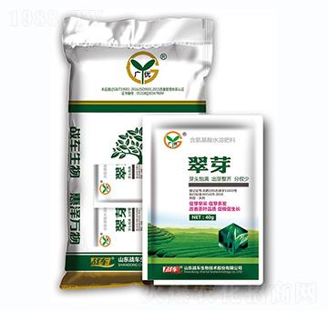 ��ѿ-��(zh��n)܇