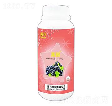 ����~���-�ƴ�����