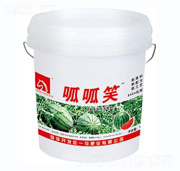 ����Ц-һ�R�ʘI(y��)