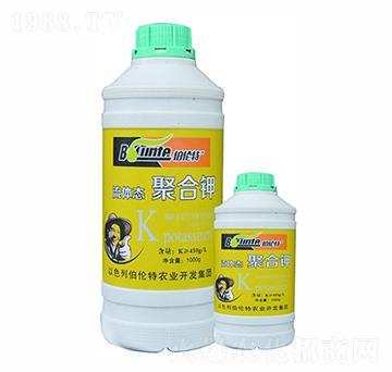 �ۺ��-������