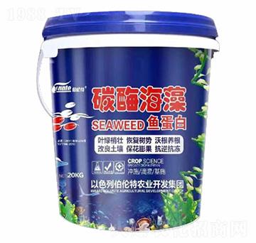 ̼ø�����~(y��)����-������