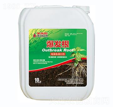 �����~������-���l(f��)��-������