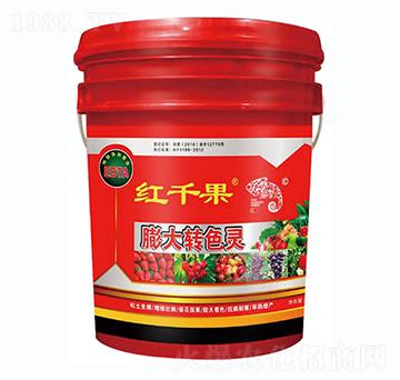 ����D(zhu��n)ɫ�`-�tǧ��-������