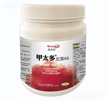 ��̫�ࡤ�t��66-������