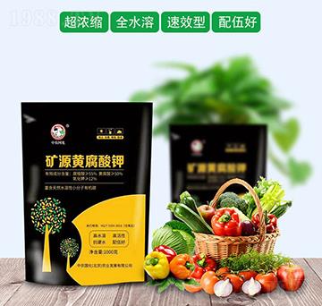 �VԴ�S�����-���r(n��ng)��(gu��)��