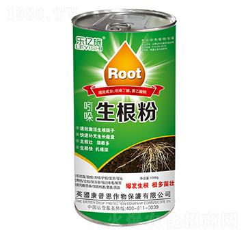 ����������-���|ʩ-�Z