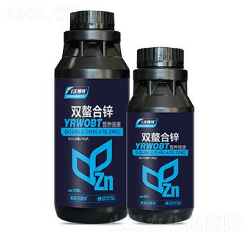 �p�����\-Ӣ���ֲ���