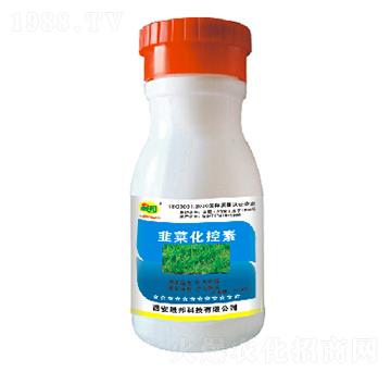 �²˻�����-�ɰ�����