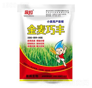 �������SС���߮a�ײ�-�ɰ�����