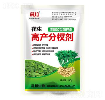 �����߮a���Ä�-�ɰ�����