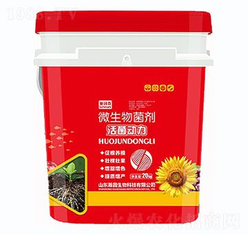 ���������΢�������-ʩ����-嫲�����