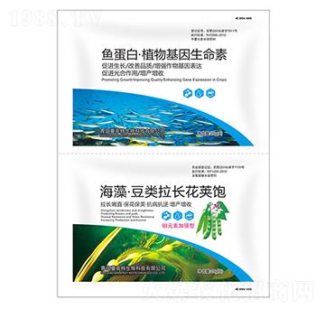 ���塤������L(zh��ng)���v�+