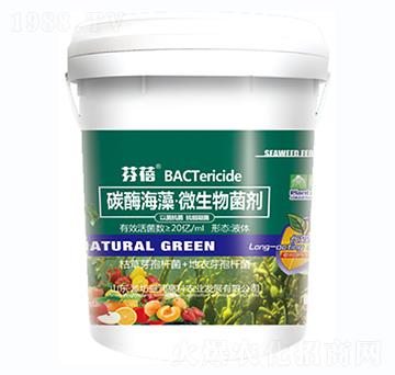 ̼ø���塤΢�������-����-ʢ��(r��n)�߿�