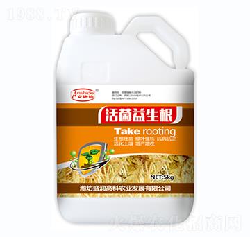 ���������-ʢ���߿�