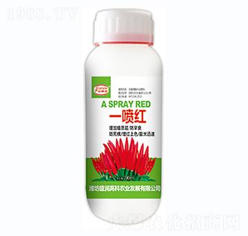 ����һ���t-ʢ��(r��n)�߿�