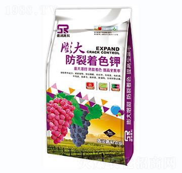 ��������ɫ�-ʢ��(r��n)�߿�