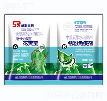 ���v��+���P���߄�-ʢ��(r��n)�߿�