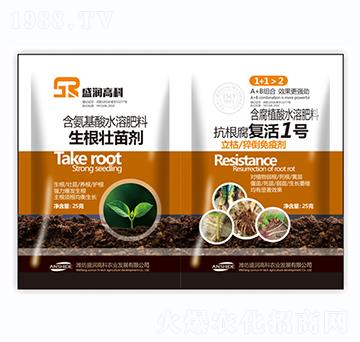 �������焩+��������(f��)��1̖(h��o)-ʢ��(r��n)�߿�