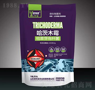 ����ľù-������