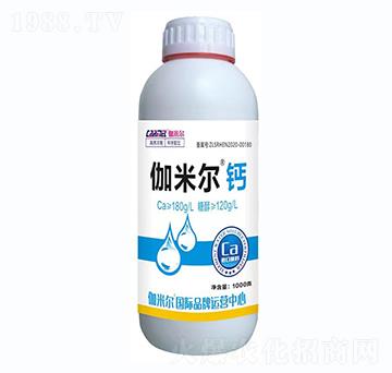 ٤�נ�-�Ǵ����φ�һԪ�����w�}-�_˼ķ