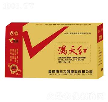 �M��t-�����طʘI(y��)