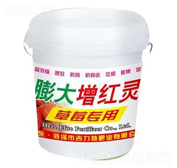 ��ݮ����������t�`-�����طʘI(y��)