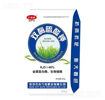 �pø�����-�����طʘI(y��)