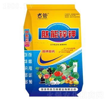 �����\�-�����طʘI(y��)