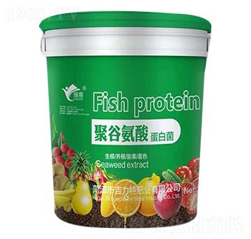 �۹Ȱ��ᵰ�׾�-�����طʘI(y��)