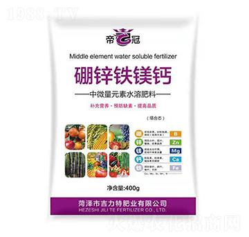 ���\�F�V�}-�����طʘI(y��)