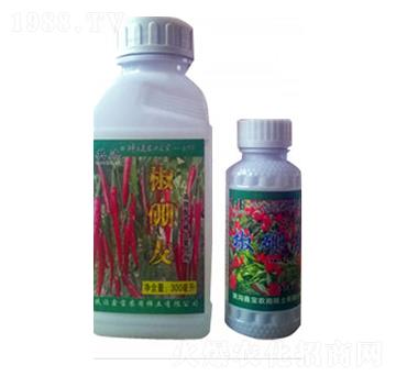 ������-�Ό�