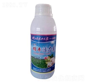 ���S������-����(j��)-�Ό�