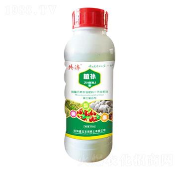 ֲ�a-����-�Ό�