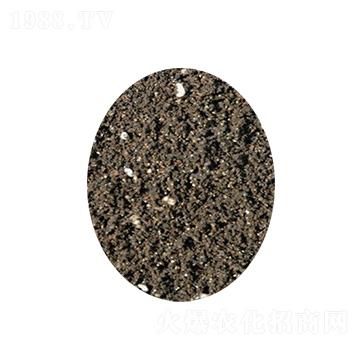 ���ߠI�B(y��ng)��-�s�S����