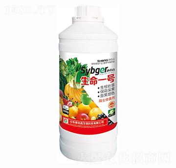 ΢�������-����һ̖-ʩ�۸�