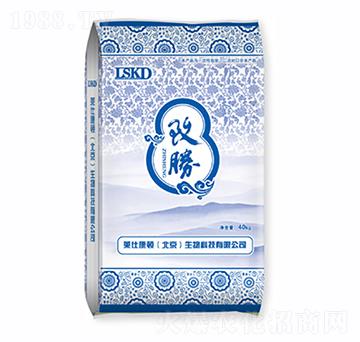 ��-�R�˿��D