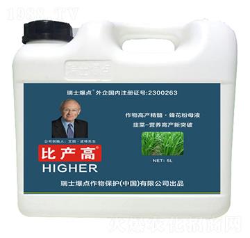 �²ˌ����~���-�Ȯa��-���c����