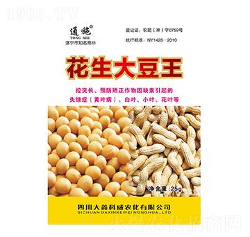 ��������-ͨʩ-���ο���