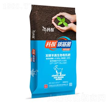 �l(f��)����S�����ЙC(j��)��-�ƈ�(b��o)̼����-���r(n��ng)�d̩