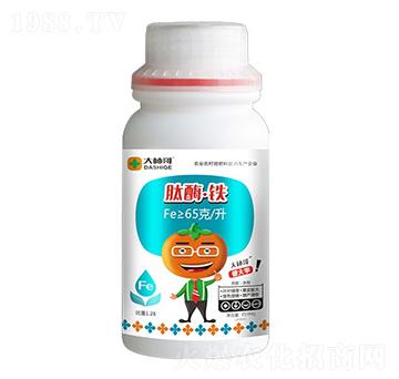 ��ø���F-������